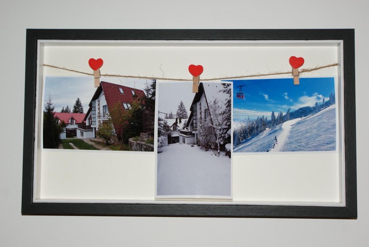 Vila Sorina Poiana Brasov Exterior photo